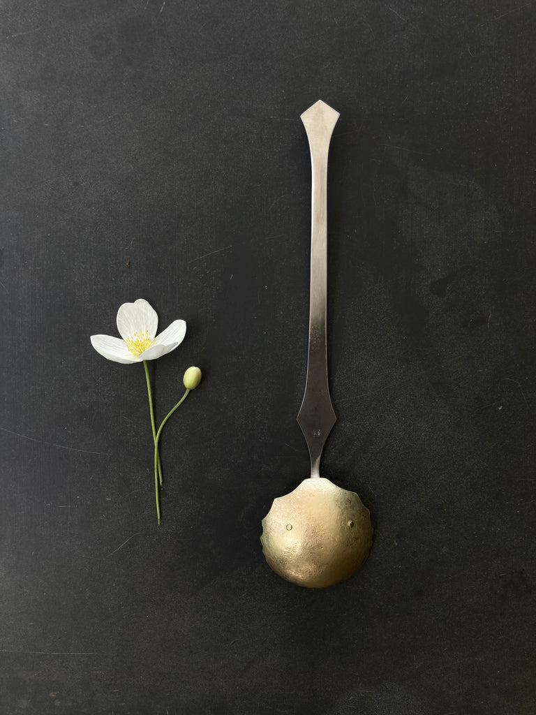 Solstice Spoon